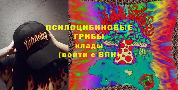 круглые Иннополис