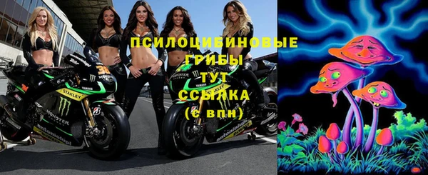 марки lsd Инта
