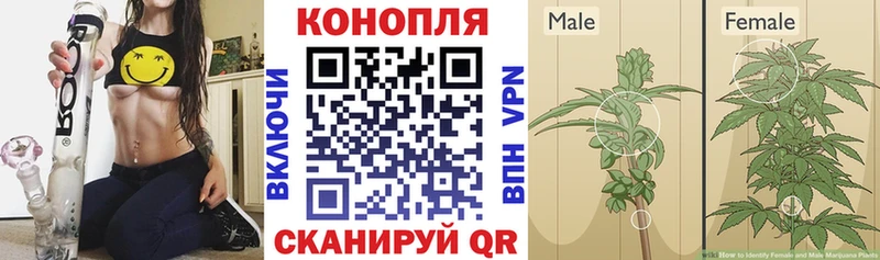 закладка  Лукоянов  Канабис White Widow 
